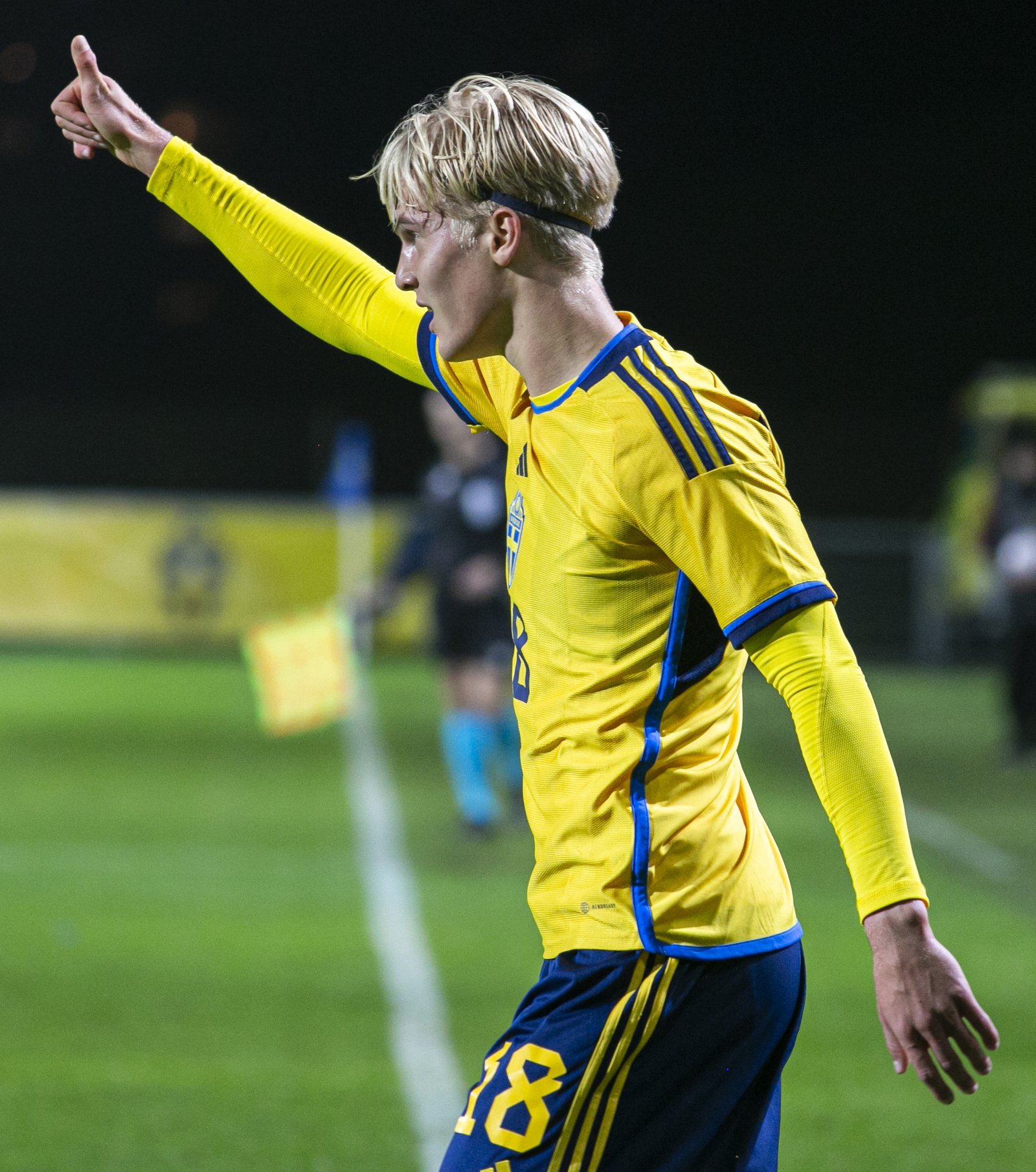 Lucas Bergvall lön – vad tjänar supertalangen i Tottenham?