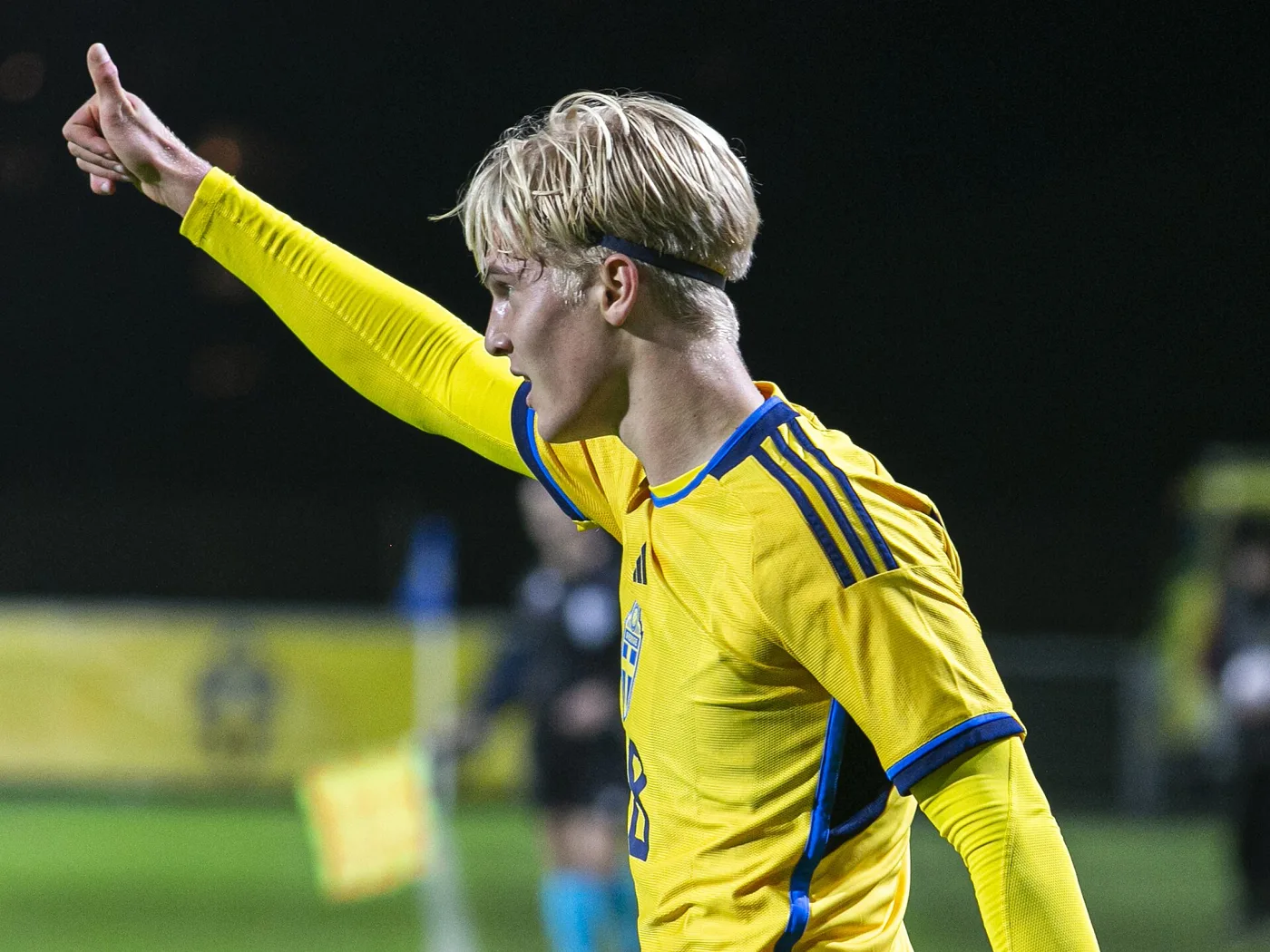 Lucas Bergvall
